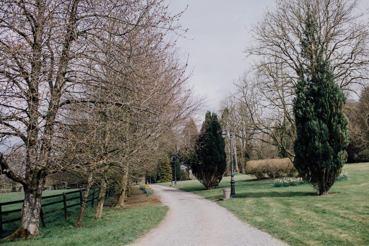 Noan Country House B&B Cashel  Exteriör bild