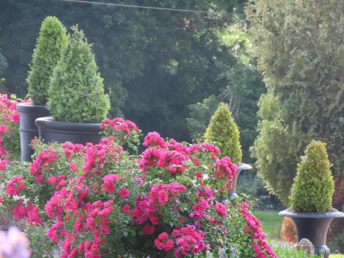 Noan Country House B&B Cashel  Exteriör bild