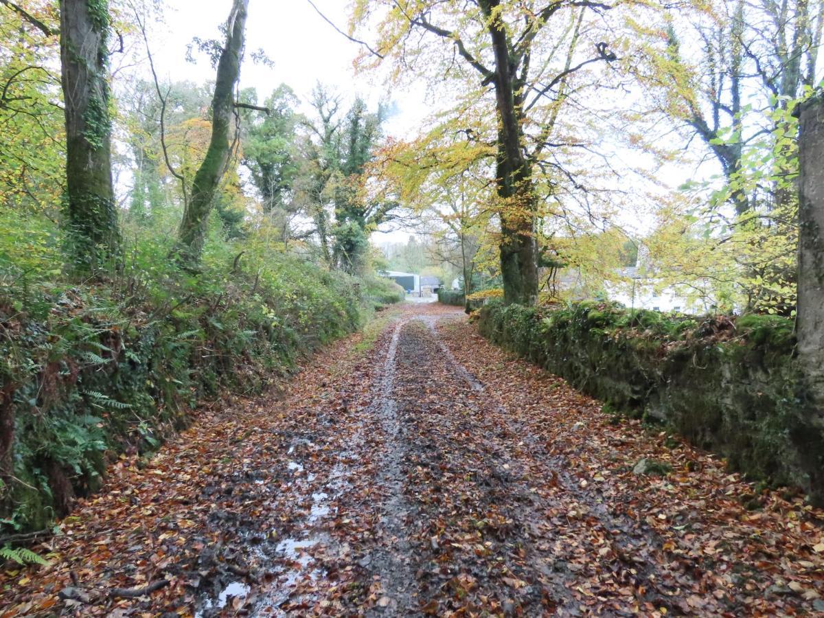 Noan Country House B&B Cashel  Exteriör bild
